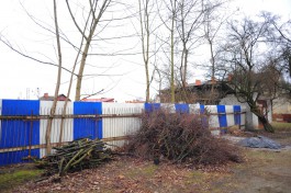 «Щепки летят»: как вырубают деревья к новому строительному сезону в Калининграде