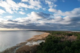 Нацпарку «Куршская коса» передали три земельных участка на берегу залива