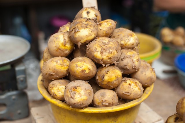 Исследование: Калининградцы планируют сажать больше картофеля на дачах в 2022 году