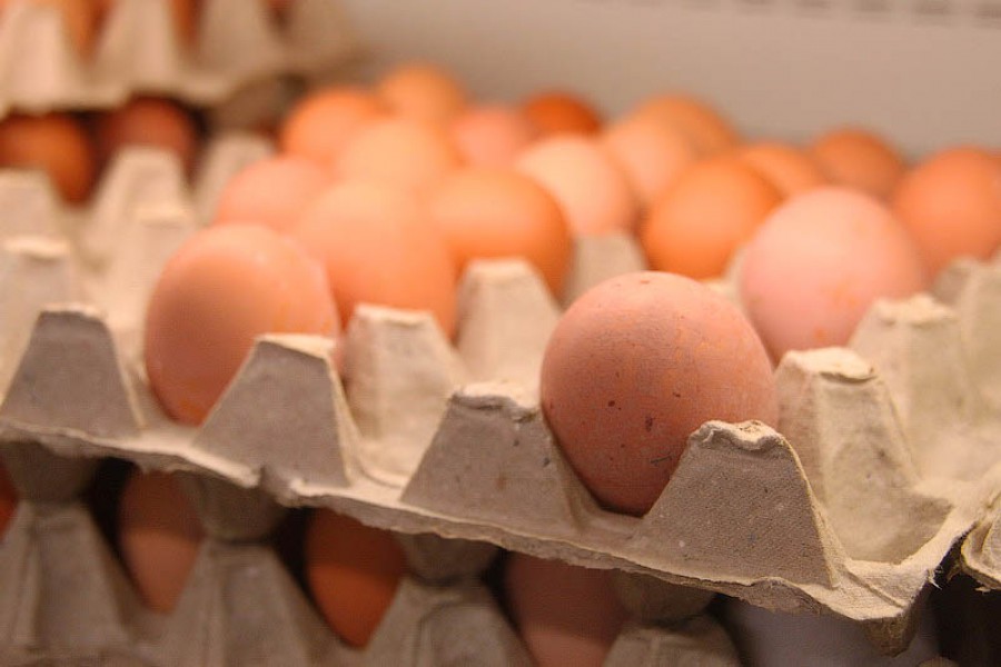 Калининградстат: В регионе на треть упали цены на яйца