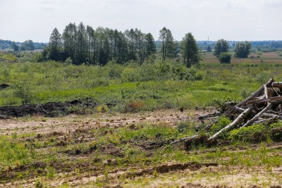 В «Мегаполисе» рассказали о строительстве семитысячного микрорайона на выезде из Калининграда