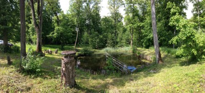 «Подорожники-9. Отпуск в Сочи»: Большое Исаково — Низовье — Орловка