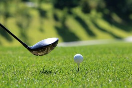 Власти меняют назначение 188 га земли под Светлогорском для строительства гольф-клуба