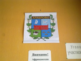 На гербе Храбровского сельского поселения изображён американский бомбардировщик