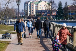 Калининградская область поднялась в рейтинге регионов по динамике зарплат 