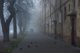 МЧС предупреждает об ухудшении видимости из-за сильного тумана в Калининградской области