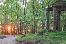 На территории парка в Сосновке обустраивают дорожки из лиственницы по довоенным картам