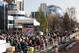 &laquo;Рыбная ярмарка, концерты и мастер-классы от шефов&raquo;: программа Дня селёдки в Калининграде