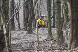 «От кладбища до парка»: зачем инвестору понадобился лес в элитном районе Калининграда