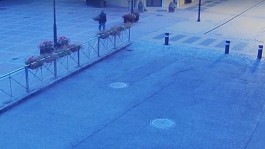 В Зеленоградске разыскивают серийного похитителя вазонов с центральной площади (видео)