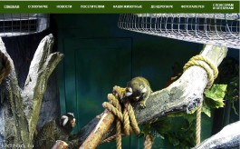 В калининградском зоопарке установили веб-камеры для онлайн-трансляции из вольеров