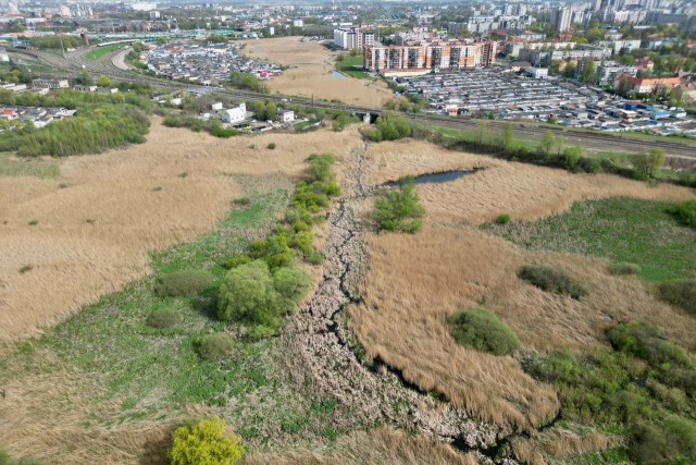 В Калининграде ищут подрядчика для расчистки русла реки Товарной 