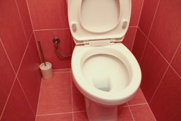 Роспотребнадзор запретил ввоз «Туалетного утёнка» и другой бытовой химии с Украины