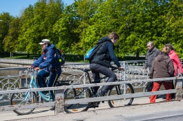 Почему в Калининграде пешеходы должны делить дороги с велосипедистами?