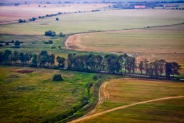 «Мираторг» намерен инвестировать 65 млн рублей в мелиорацию сельхозугодий региона