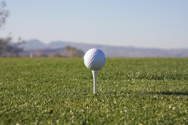Инвестор гольф-клуба получит около 200 га земли в бывшем совхозе «Светлогорский»