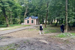 Старое еврейское кладбище в Калининграде включили в реестр объектов культурного наследия