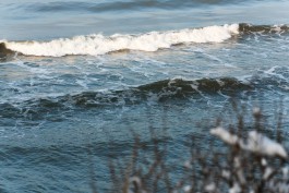 Польские СМИ: Боеприпасы на дне Балтики угрожают отравить море