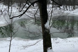 Власти Калининграда рассказали, почему пруды в парке Победы &laquo;приобрели зеленоватый оттенок&raquo;  