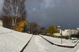 «Эффект неожиданности»: как Калининград накрыло снегом в ноябре (фото)