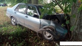 Под Светлогорском «Фольксваген» врезался в дерево: пострадал водитель