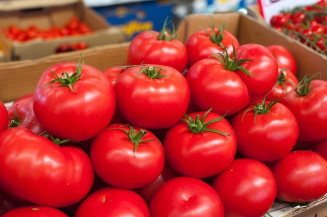 В Калининградскую область ввезли заражённые картофельной молью томаты из Ирана
