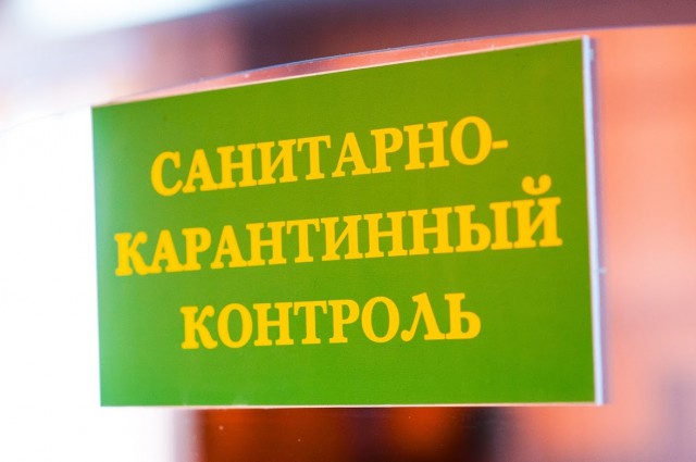 «Меньше праздников и виз»: как в Калининградской области отреагировали на «китайский» коронавирус