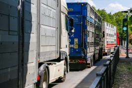 Очередь на выезде из Калининградской области в Литву увеличилась до 100 грузовиков