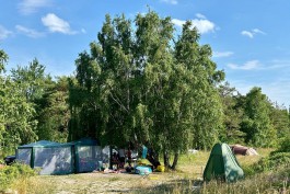 «Не дикий отдых»: как будут обустраивать глэмпинги на побережье в Балтийске  (фото)