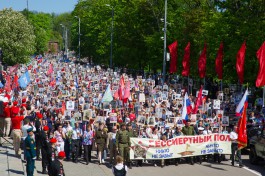«Чтобы не забыли»: тысячи калининградцев приняли участие в акции «Бессмертный полк» (фото, видео)