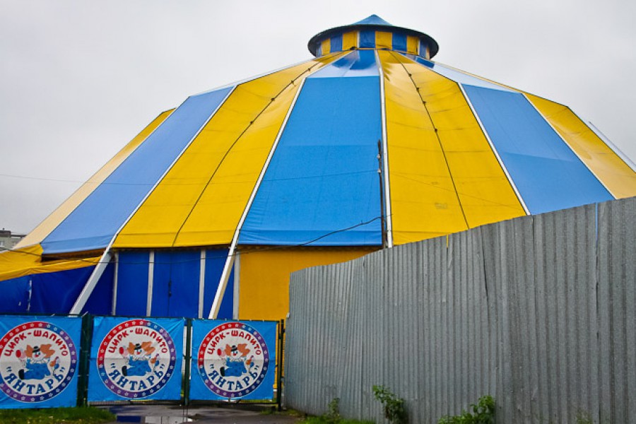 «Не до переезда»: цирк-шапито на Острове продолжает давать представления