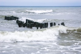 Вечером в Калининградской области ожидается усиление ветра до 27 м/c