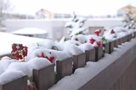 Из-за плохой уборки снега своих постов лишились восемь чиновников региона