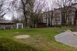 На территории Дома семьи в Калининграде обустроят общественный огород (фото)