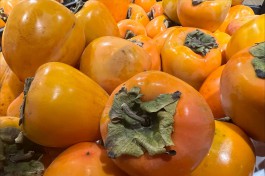 С начала ноября в Калининградскую область ввезли 100 тонн хурмы из Узбекистана и Азербайджана