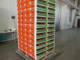 В Калининградскую область пытались ввезти 21 тонну «санкционки» под видом конфет (фото)