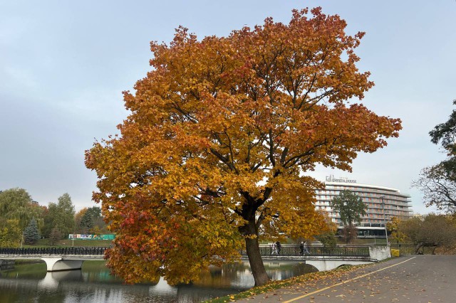 В Калининградской области ожидается до +16°С в последние выходные сентября