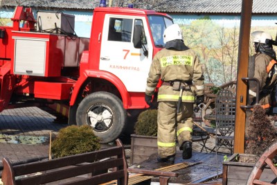 Под Калининградом в сарае сгорели 15 поросят и 3 козы