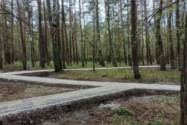 В Калининграде оштрафовали &laquo;Автотор-Арену&raquo; за повреждение деревьев на территории парка