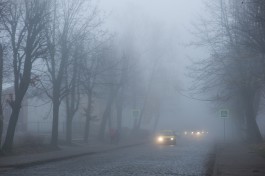 МЧС предупреждает об ухудшении видимости из-за тумана в Калининградской области
