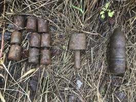 Сотрудники Росгвардии нашли тайник с гранатами под Калининградом