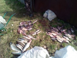 В Багратионовском округе задержали двух браконьеров с незаконными орудиями лова