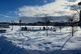 «Выше +7°C»: метеорологи рассказали о вероятной оттепели в регионе на следующей неделе
