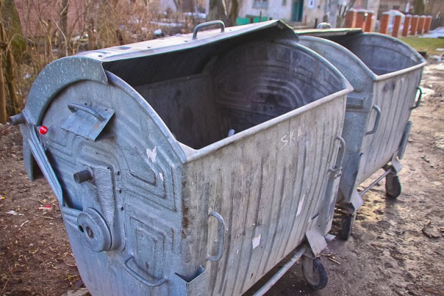 Установкой контейнеров для раздельного сбора мусора в Калининграде займётся московский подрядчик