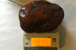 В Калининградской области добыли янтарный самородок весом 1,2 кг