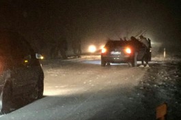 На трассе Калининград — Мамоново на автомобиль упало дерево
