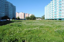 Власти Калининграда намерены переделать «зелёный пятак» на ул. Иванихиной в сквер с мини-рынком
