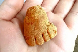 «Стопа гнома»: в Калининградской области добыли редкий янтарь с «пальцами»