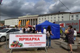 «Рыночная площадь»: как прошла сельхозярмарка в центре Калининграда