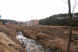 Застройщика жилого комплекса в Светлогорске оштрафовали на 1 млн за вырубку деревьев